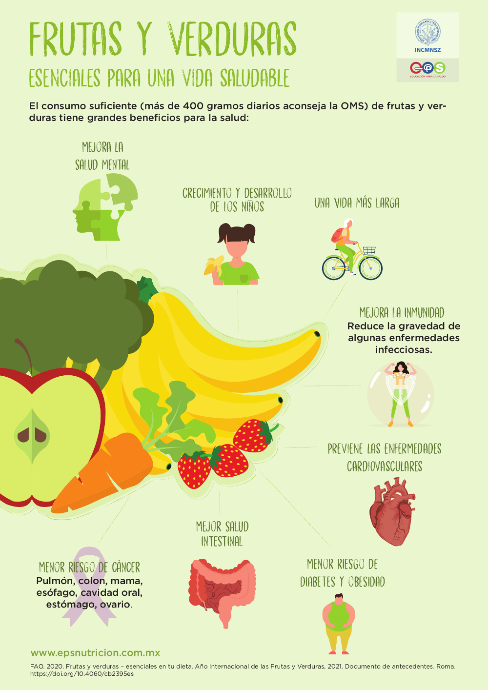 Frutas y verduras esenciales para una vida saludable