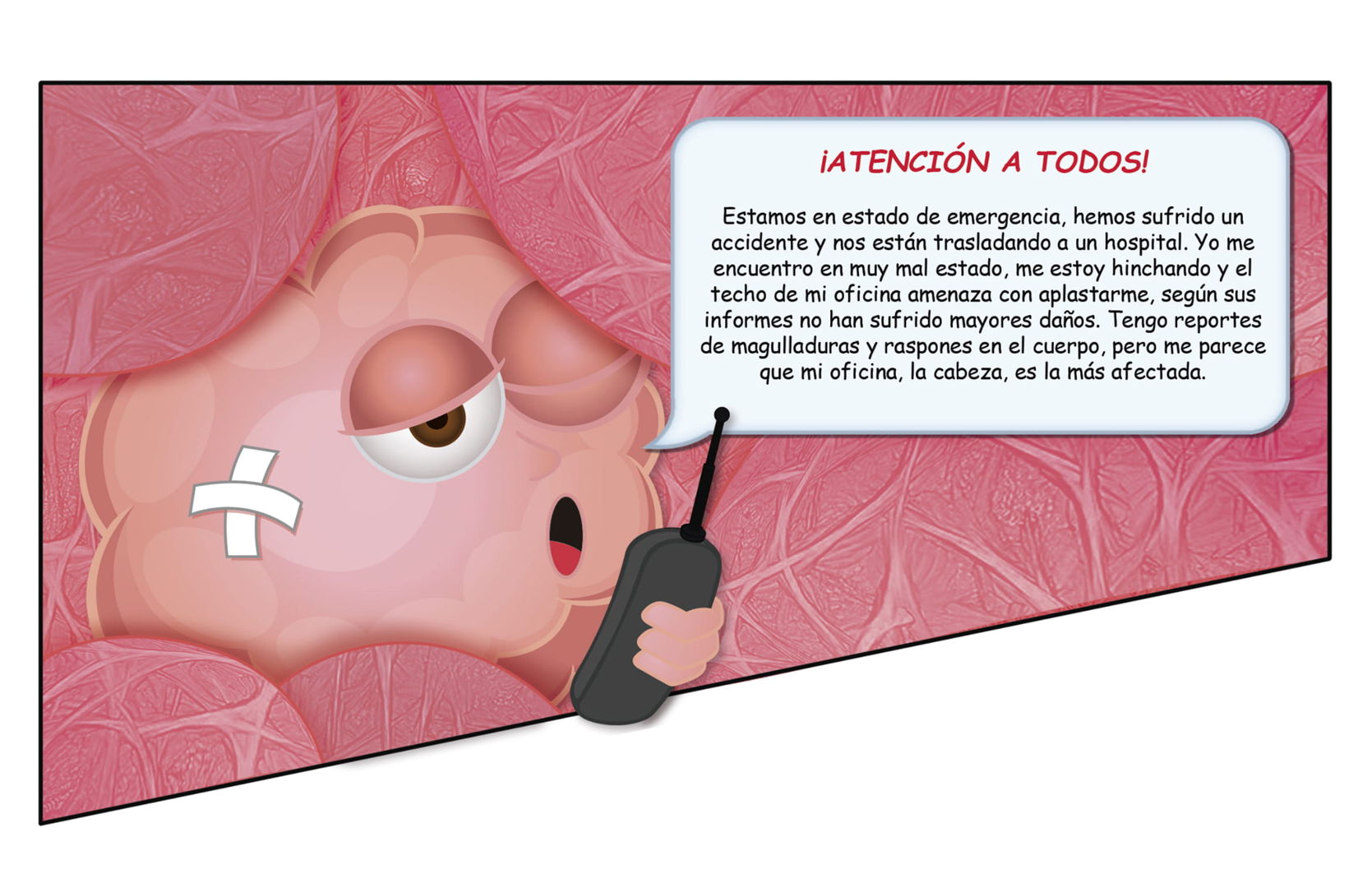 Diapositiva Doce