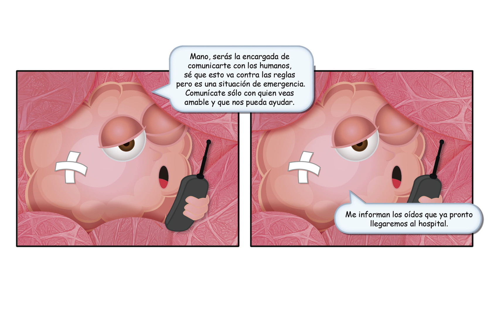 Diapositiva Tres