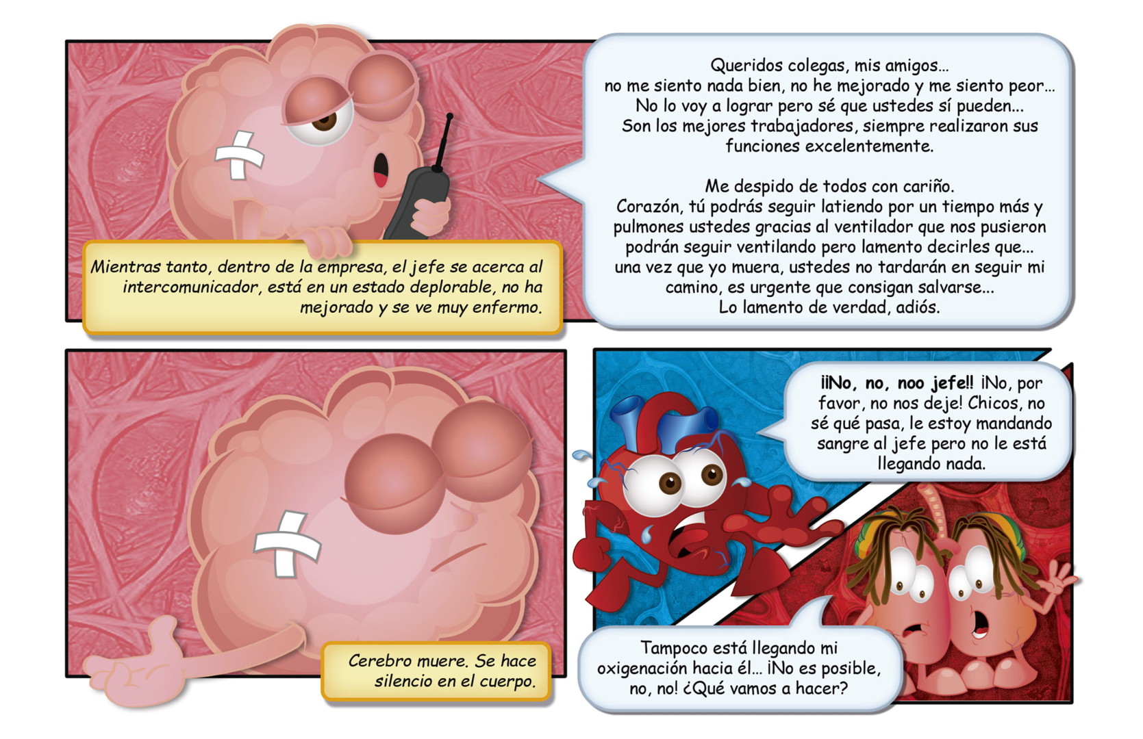 Diapositiva Doce