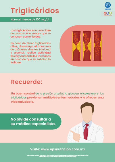 Los Triglicéridos